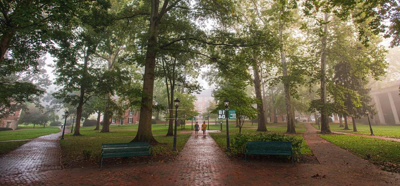 两名学生走在newbb电子平台的大学绿地上, 四周都是砖砌的小路和大树