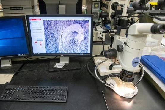 newbb电子平台研究实验室的显微镜和计算机显示扫描图